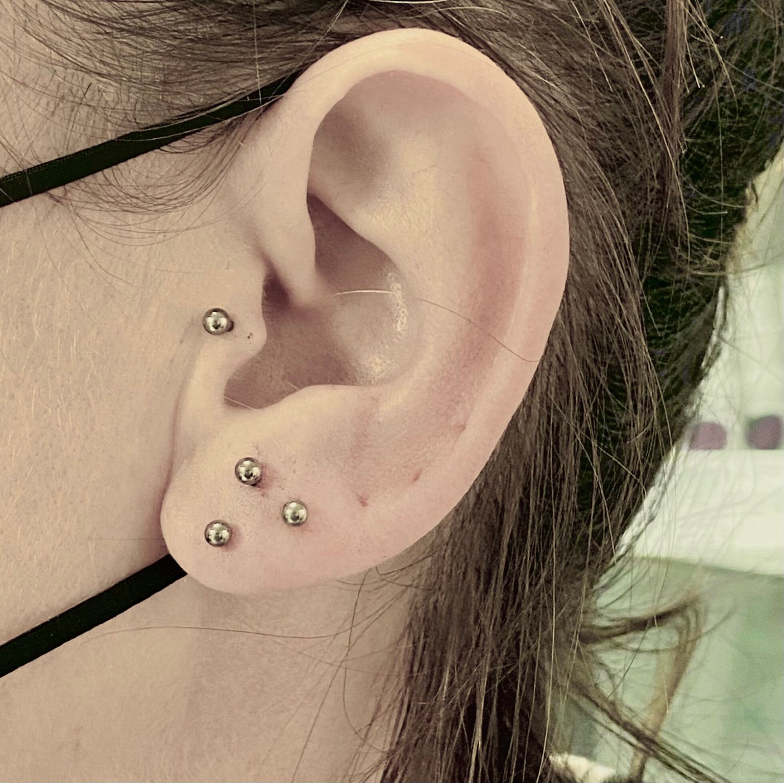 Tragus - Triple lobe