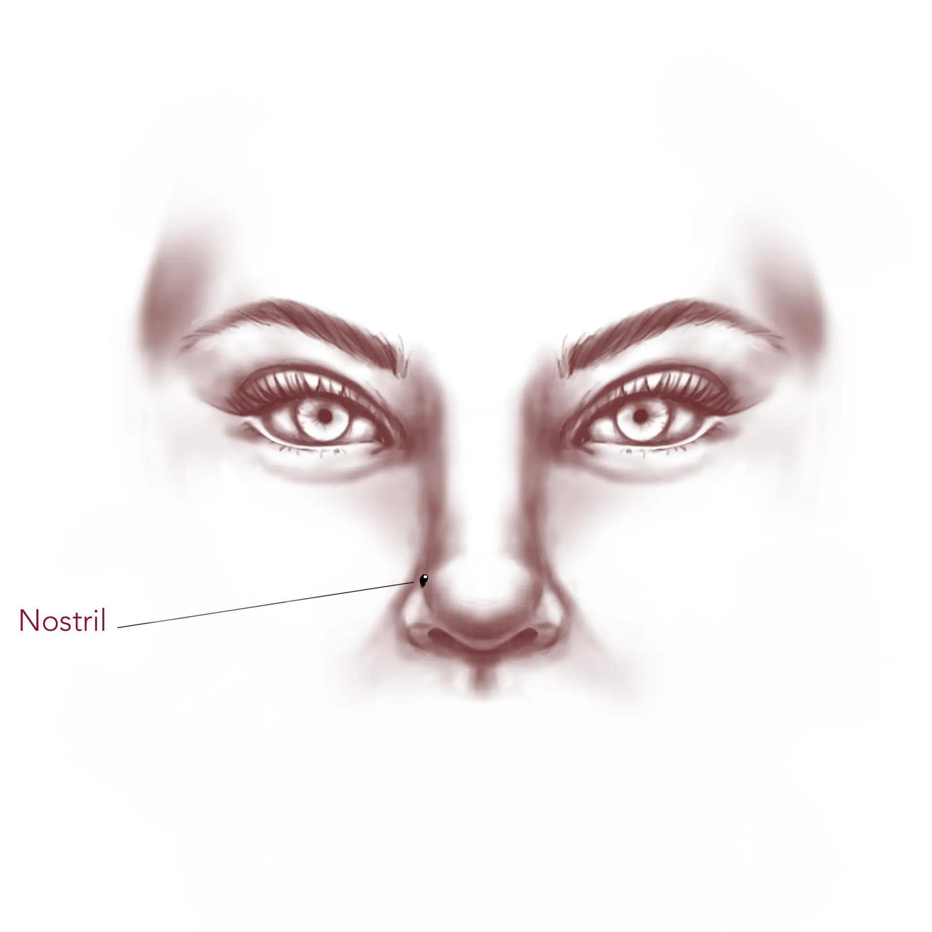 Illustration sans titre